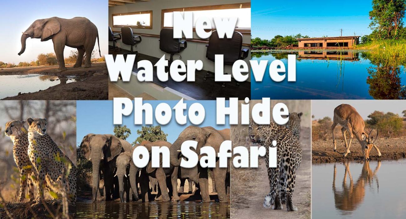 Safari with water level photography bunker hide