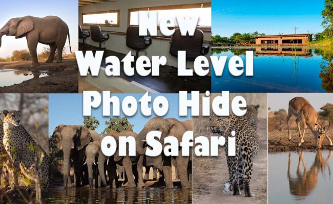 Safari with water level photography bunker hide