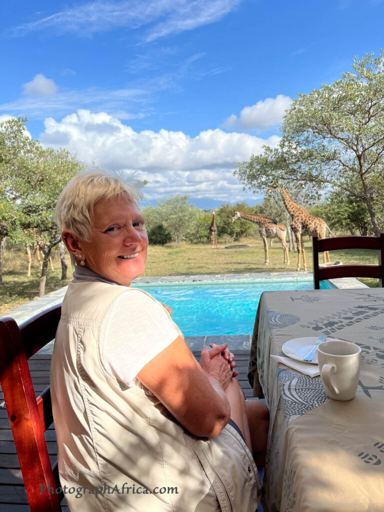giraffes at breakfast while on safari