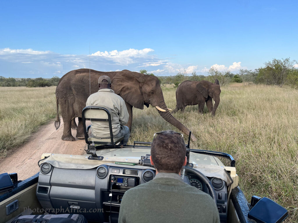 photo safari in south africa