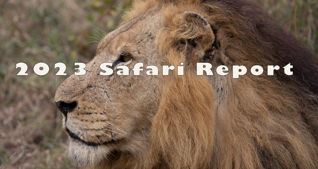 2023 Safari Trip Report