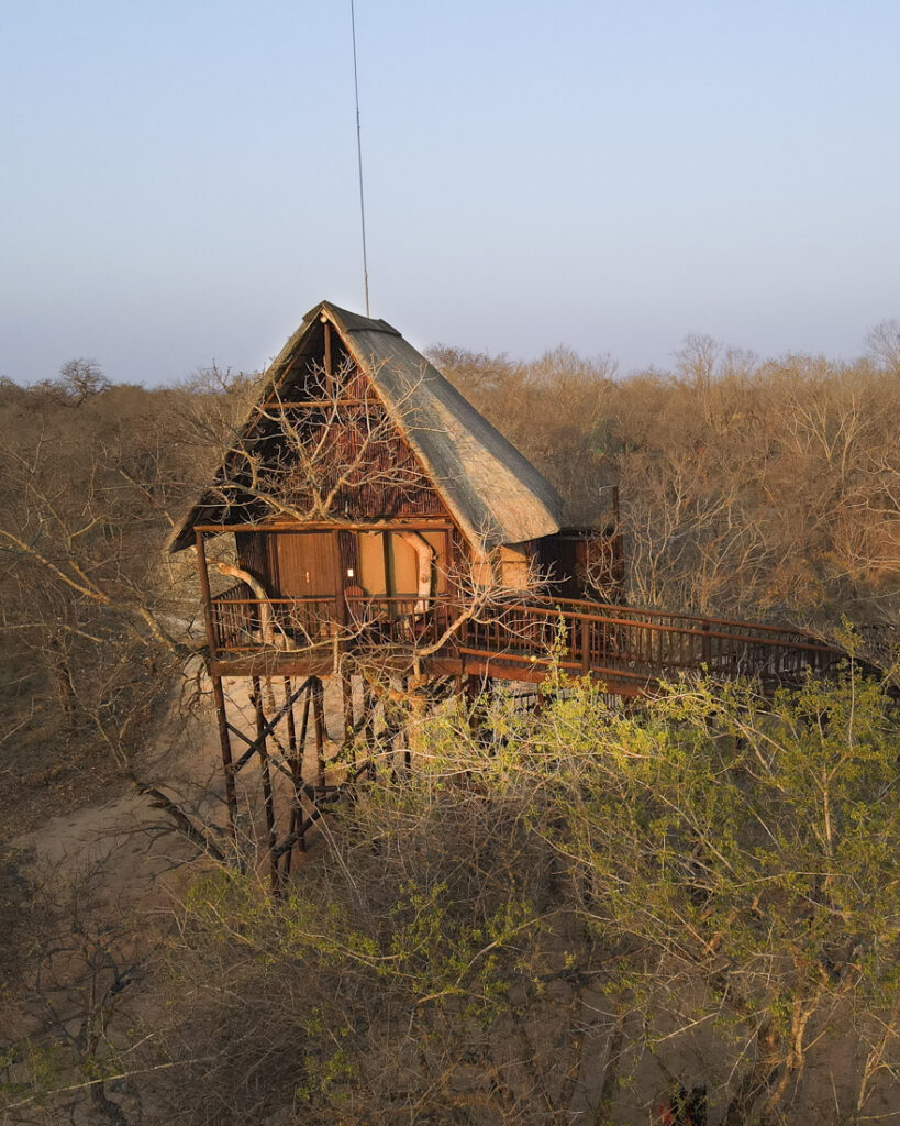 Tree House Lodge South Africa