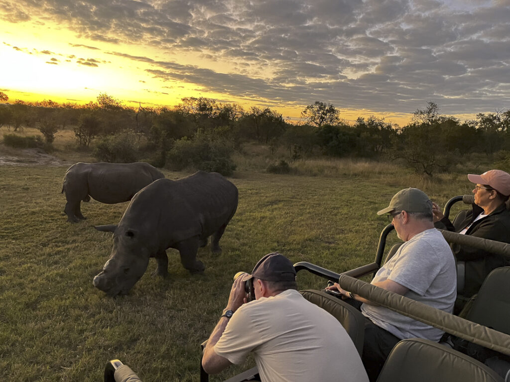 On a game drive with White rhinos photo safari in South Africa