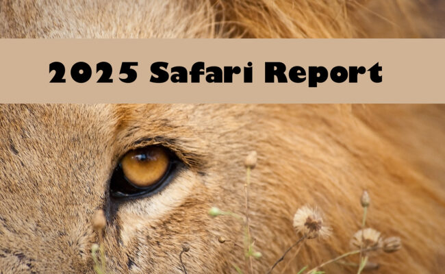 2025 South Africa Safari Trip Report